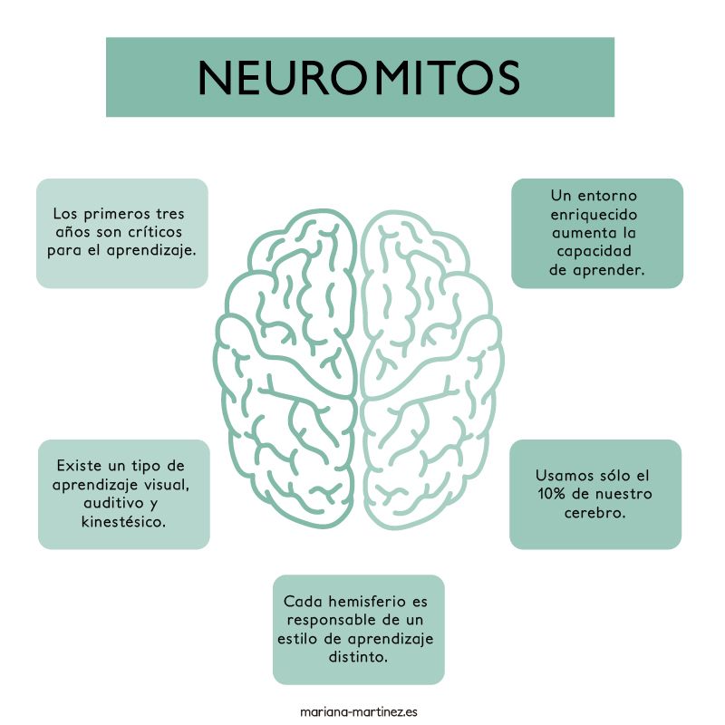 5 neuromitos o falsas creencias que tenemos sobre el cerebro que se aplican erróneamente en el ámbito educativo